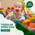 Toddler Open Gym
