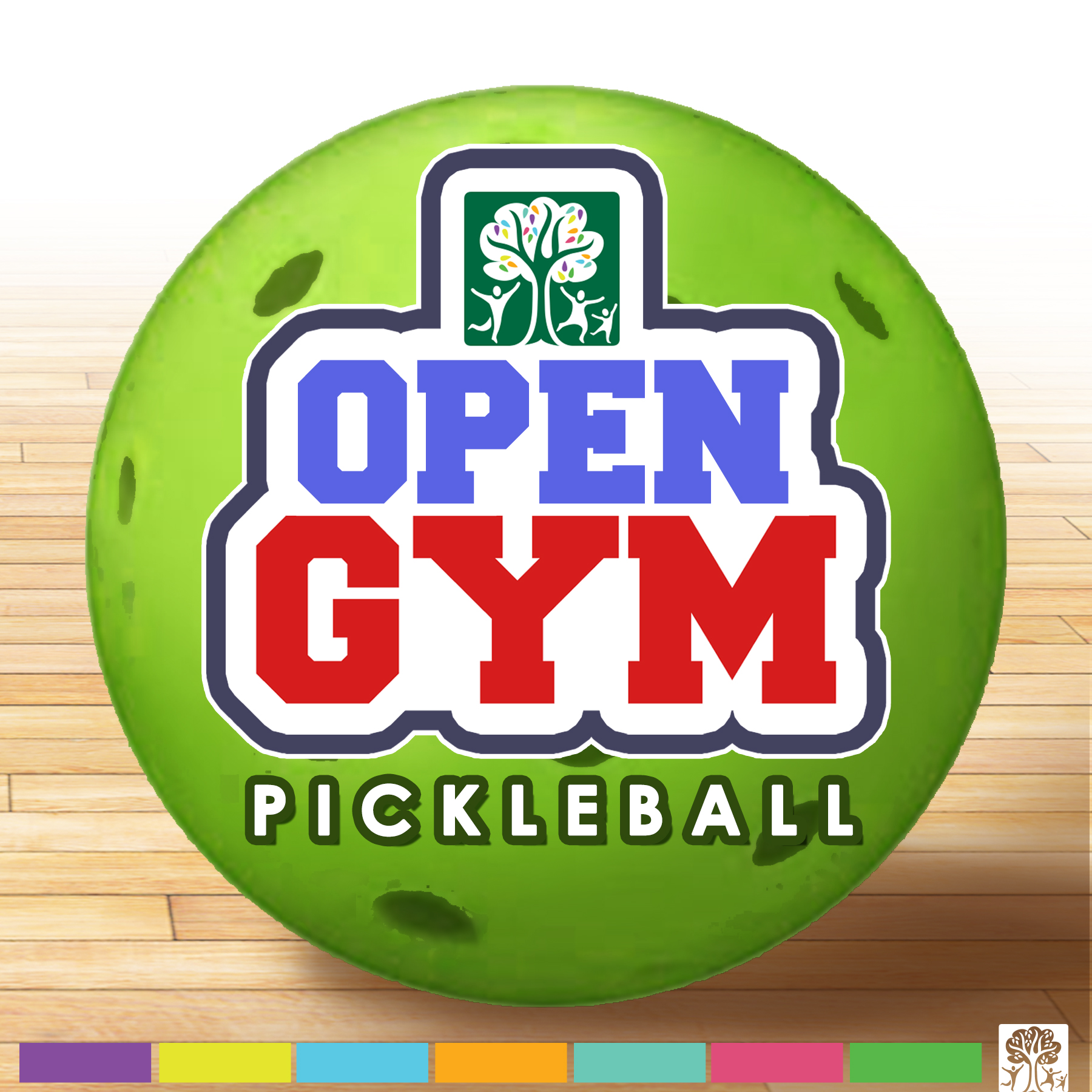 Open Gym Pickleball 