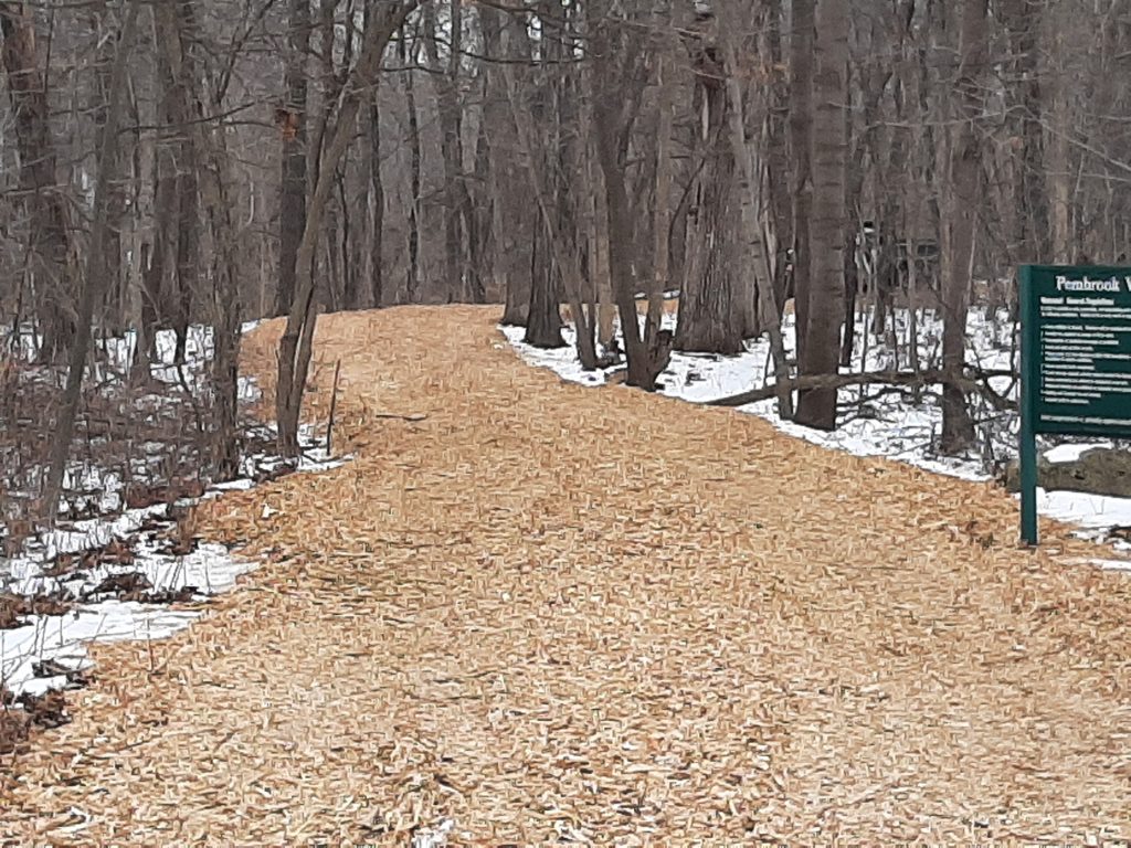 GPD2021-Pembrook_Woods_Path-Photo-1