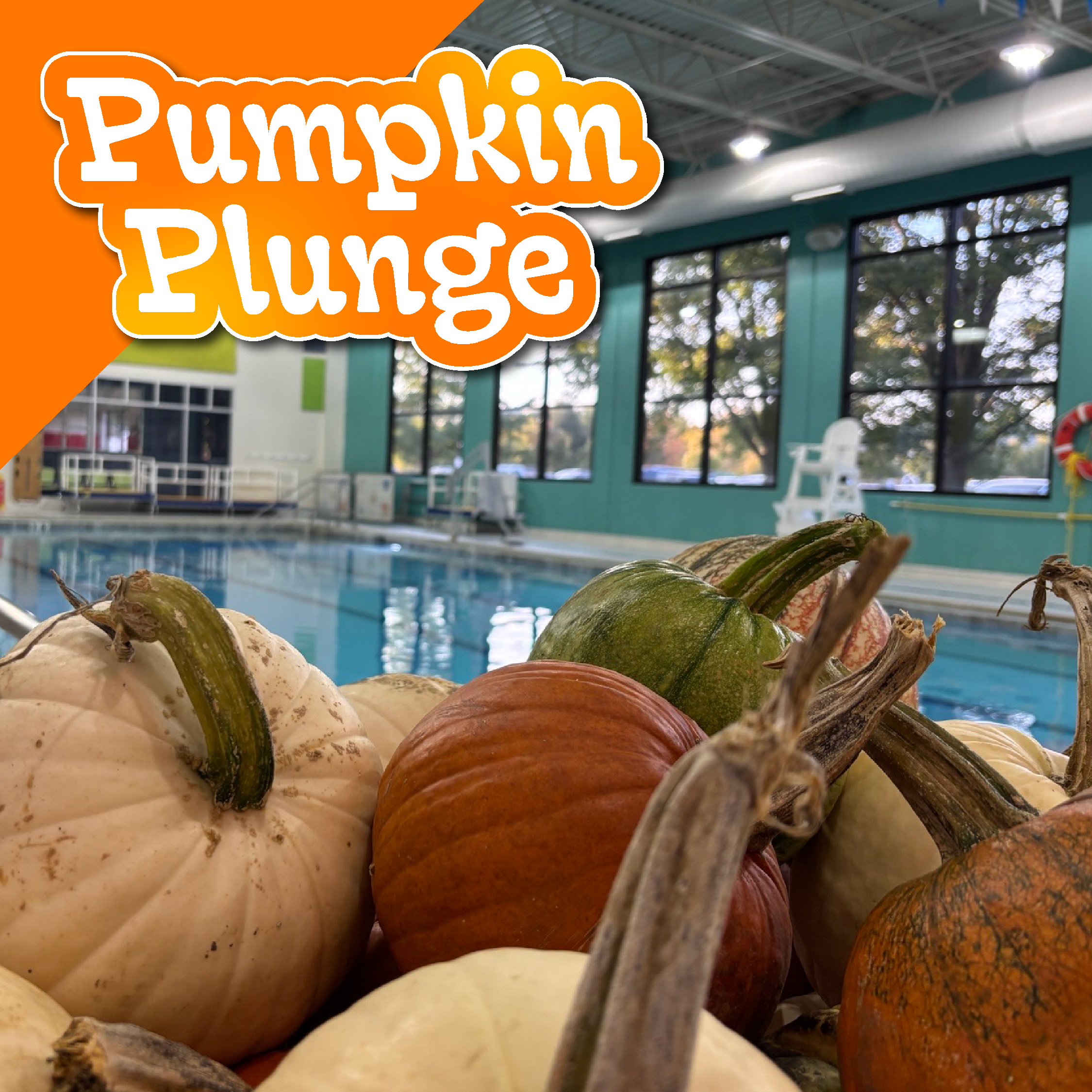 GPD2026 Pumpkin Plunge Socials Calendar 1080 x 1080